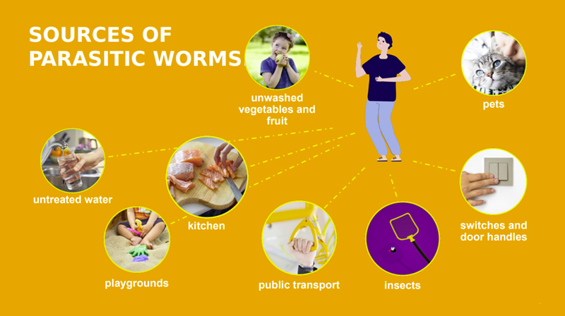 Parasitic worms