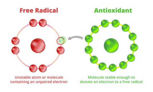 Free radicals and Antioxidant 